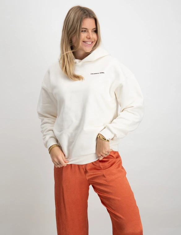 Colourful Rebel Pearl Clean Oversized Hoodie WH115345