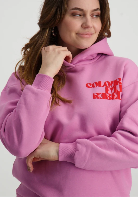 Colourful Rebel Puff Logo Clean Hoodie WH116203