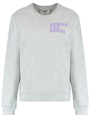 Colourful Rebel Puff Logo Relaxed Sweat WS416199