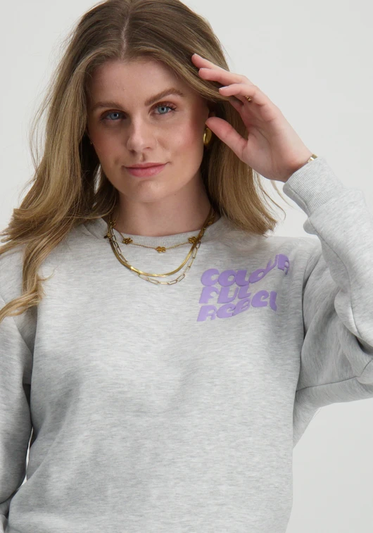 Colourful Rebel Puff Logo Relaxed Sweat WS416199