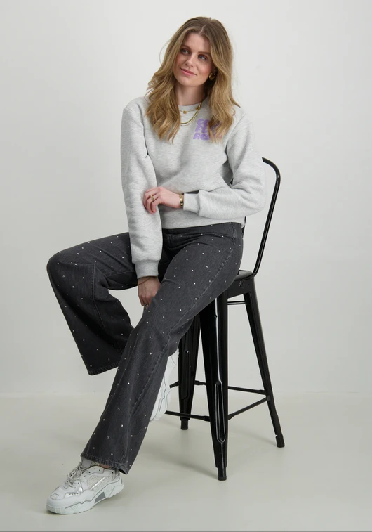 Colourful Rebel Puff Logo Relaxed Sweat WS416199