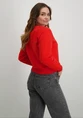 Colourful Rebel Puff logo Relaxed Sweat WS416206