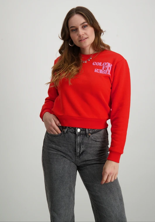 Colourful Rebel Puff logo Relaxed Sweat WS416206