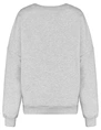 Colourful Rebel racer logo dropped shoulder sweat WS416583