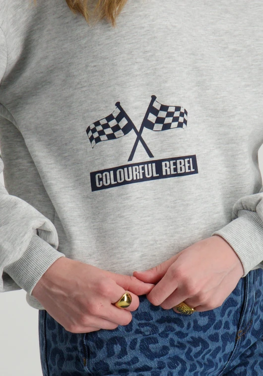 Colourful Rebel racer logo dropped shoulder sweat WS416583