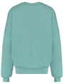 Colourful Rebel Rebel Dropped Shoulder Sweat WS416200