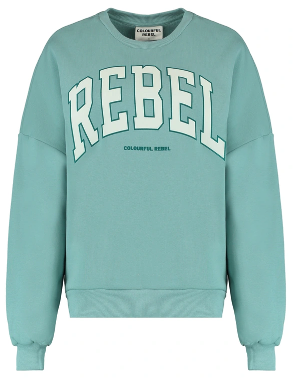 Colourful Rebel Rebel Dropped Shoulder Sweat WS416200