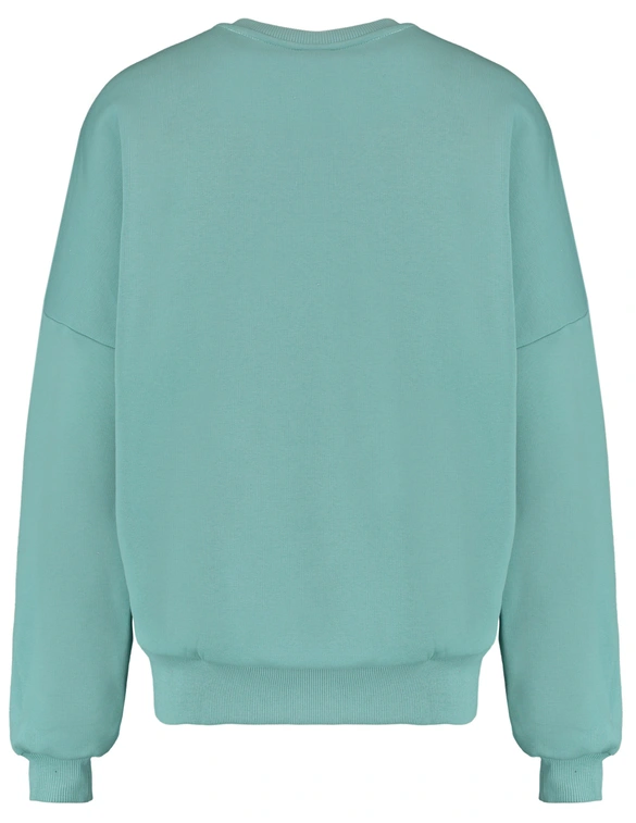 Colourful Rebel Rebel Dropped Shoulder Sweat WS416200