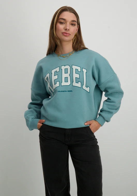 Colourful Rebel Rebel Dropped Shoulder Sweat WS416200