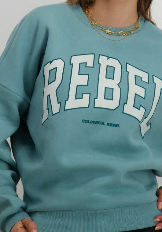 Colourful Rebel Rebel Dropped Shoulder Sweat WS416200