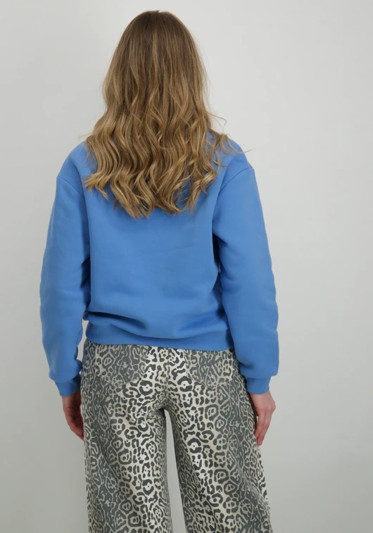 Colourful Rebel rebel relaxed zip sweat WS416849