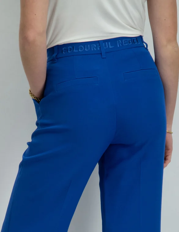 Colourful Rebel Rus pintuck straight pants WP114115