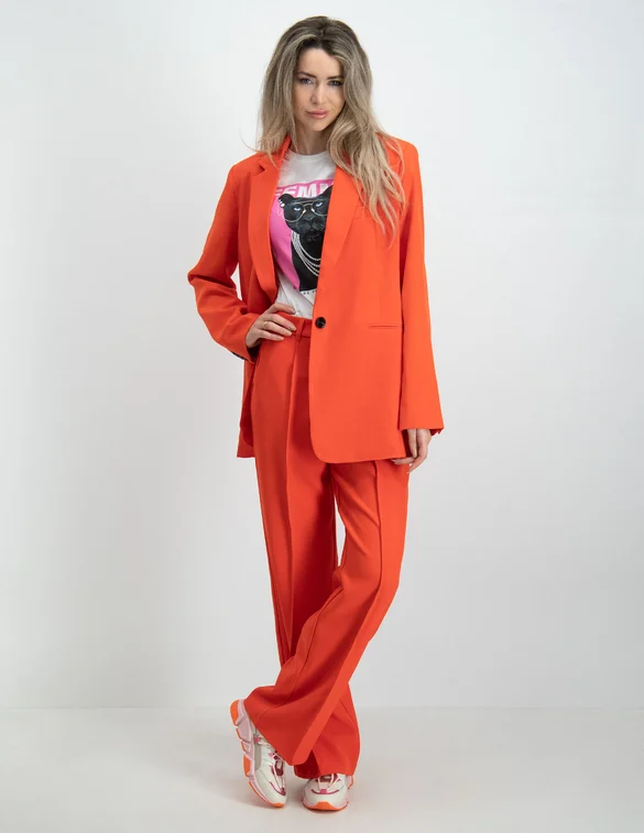 Colourful Rebel Rus pintuck straight pants WP114146