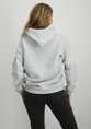 Colourful Rebel Sleeve Logo Clean Hoodie WH116124