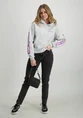 Colourful Rebel Sleeve Logo Clean Hoodie WH116124