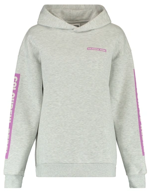 Colourful Rebel Sleeve Logo Clean Hoodie WH116124