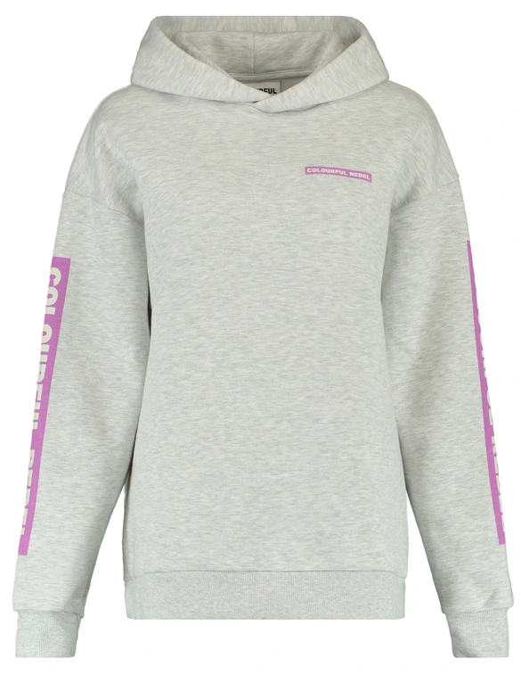 Colourful Rebel Sleeve Logo Clean Hoodie WH116124