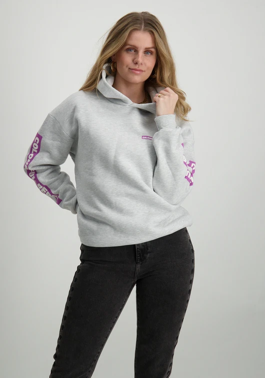 Colourful Rebel Sleeve Logo Clean Hoodie WH116124