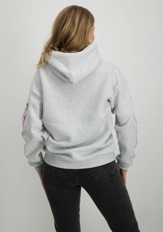 Colourful Rebel Sleeve Logo Clean Hoodie WH116124