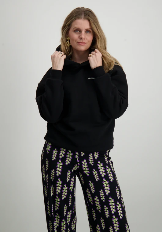 Colourful Rebel State Champ Clean Hoodie WH116277