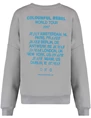 Colourful Rebel Travel Dropped Sweat WS415871