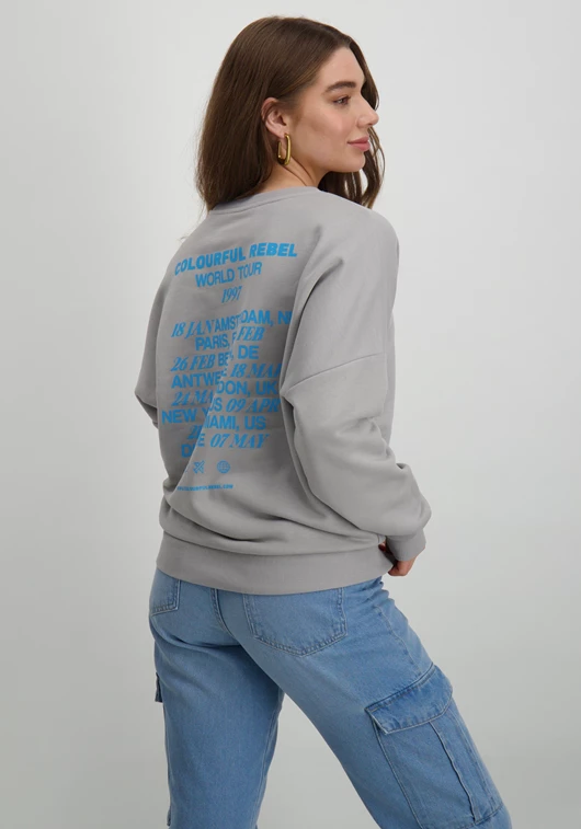 Colourful Rebel Travel Dropped Sweat WS415871