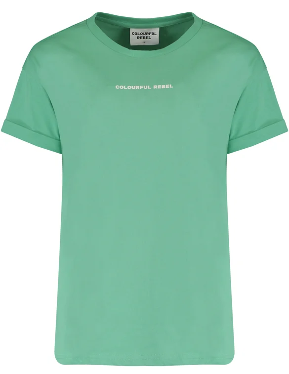 Colourful Rebel Uni logo boxy tee WT115938