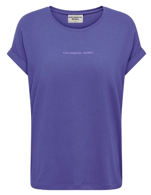 Colourful Rebel uni logo boxy tee WT116586