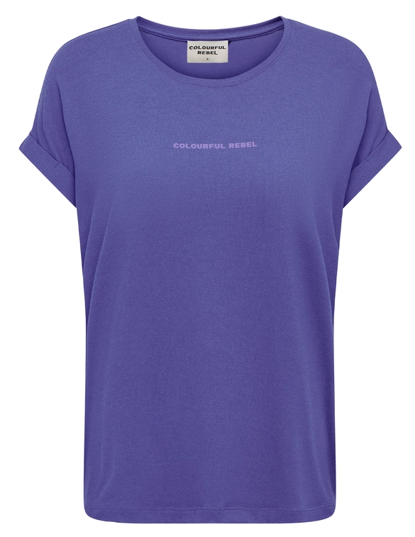Colourful Rebel uni logo boxy tee WT116586