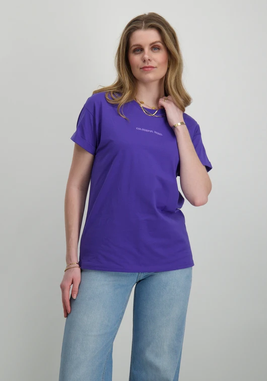 Colourful Rebel uni logo boxy tee WT116586