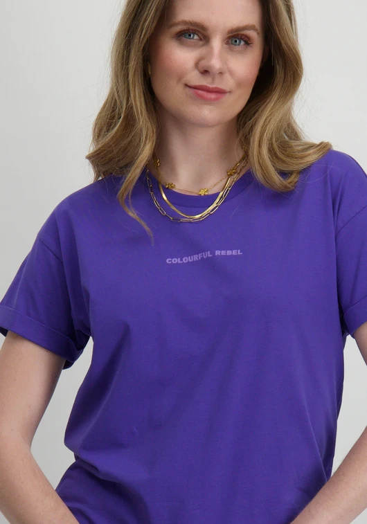 Colourful Rebel uni logo boxy tee WT116586