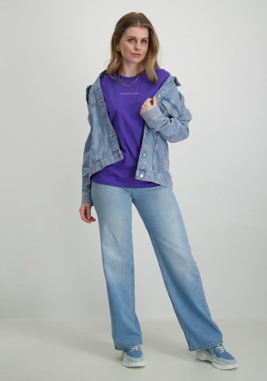 Colourful Rebel uni logo boxy tee WT116586