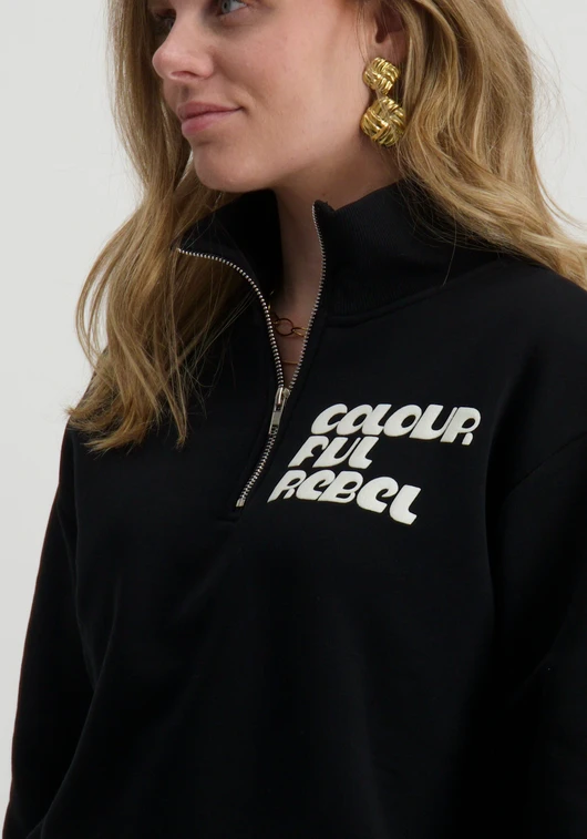 Colourful Rebel uni logo relaxed zip sweat WS416355