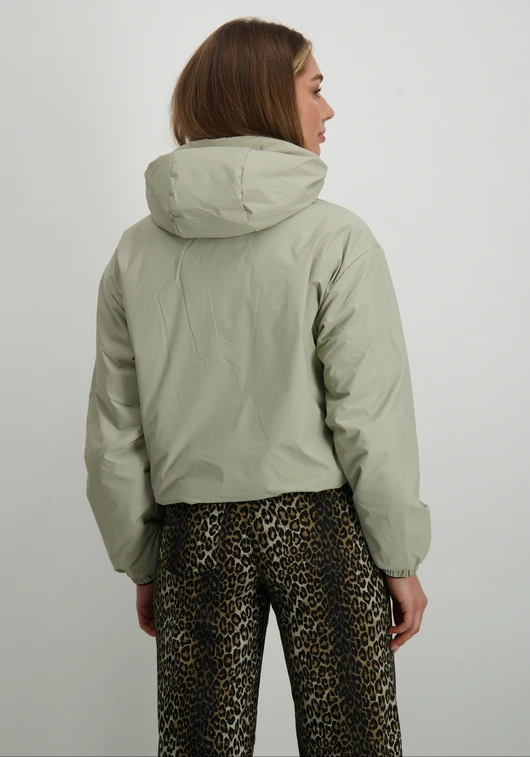 Covered Pam L60377
