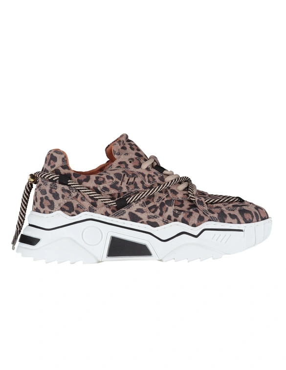 DWRS Jupiter leopard J5554C-77