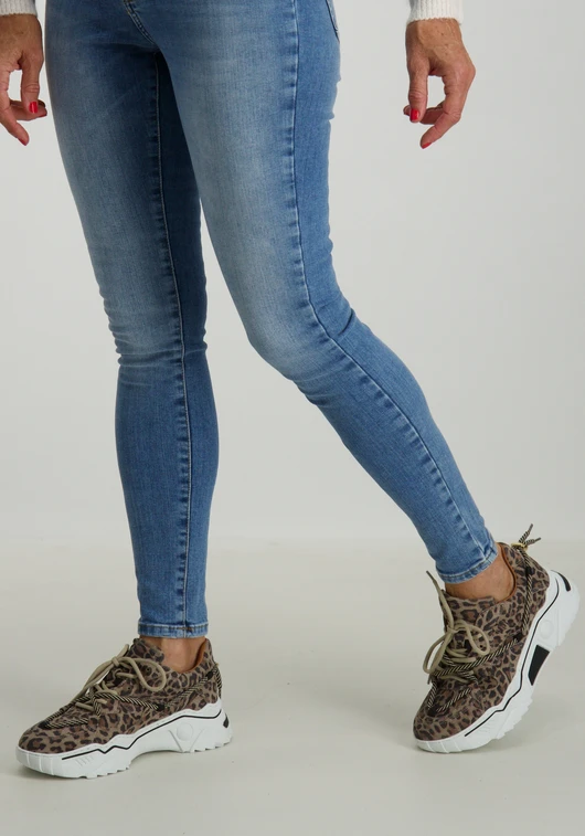 DWRS Jupiter leopard J5554C-77