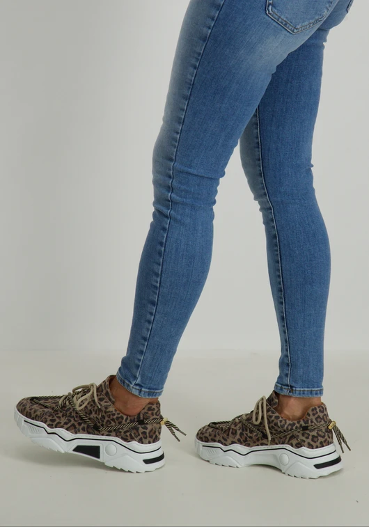 DWRS Jupiter leopard J5554C-77