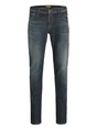 Jack & Jones JJIGLENN JJFOX AM 497 SPS NOOS 12278082