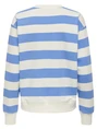 Jacqueline de Yong JDYBOOGIE L/S SWEAT JRS 15320335