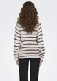Jacqueline de Yong JDYELLEN L/S ONECK RAGLAN PULLOVER 15312077