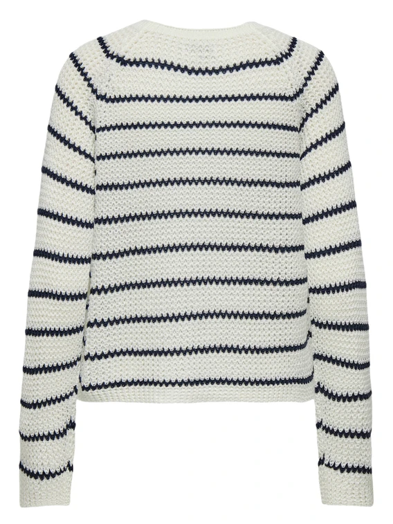 Jacqueline de Yong JDYELLEN L/S ONECK RAGLAN PULLOVER 15312077
