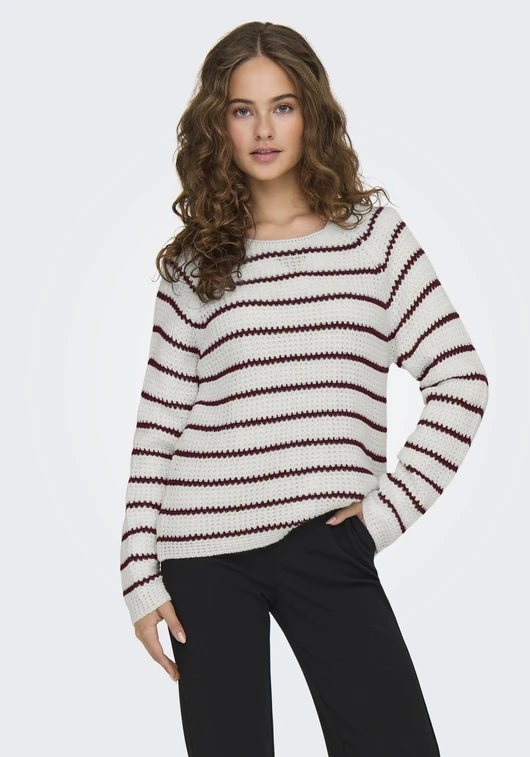 Jacqueline de Yong JDYELLEN L/S ONECK RAGLAN PULLOVER 15312077