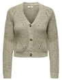 Jacqueline de Yong JDYMEGAN FELO L/S SHORT STR CARDIGA 15302446