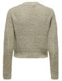 Jacqueline de Yong JDYMEGAN FELO L/S SHORT STR CARDIGA 15302446