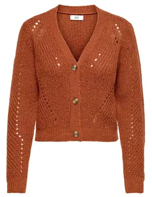 Jacqueline de Yong JDYMEGAN FELO L/S SHORT STR CARDIGA 15302446