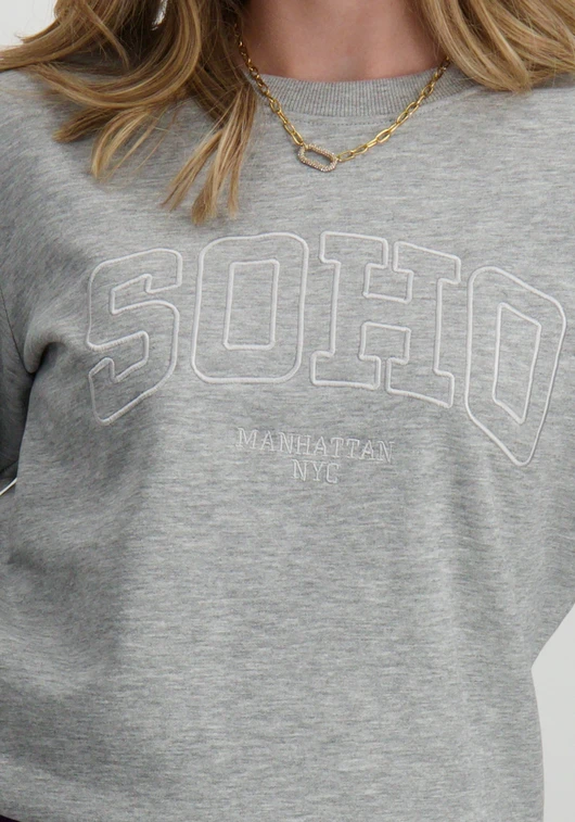 Jacqueline de Yong JDYPARIS L/S EMB SWEAT JRS 15221015