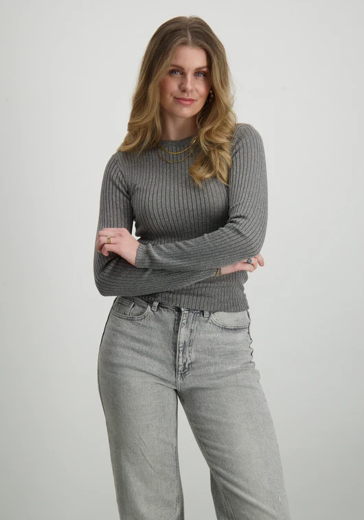 Jacqueline de Yong JDYPLUM LUREX L/S O-NECK PULLOVER K 15330569
