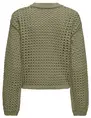 Jacqueline de Yong JDYRONDA L/S O-NECK PULLOVER KNT 15317229