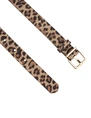 Legend Accessoires 25227