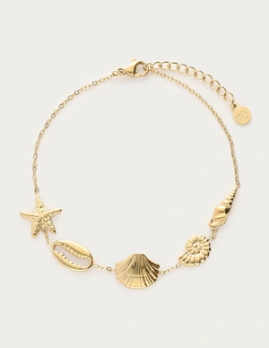 My Jewellery Bracelet shells horizontal MJ13040